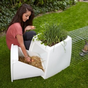poulailler-cocot-home-lapin-poules-jardin-ville-1