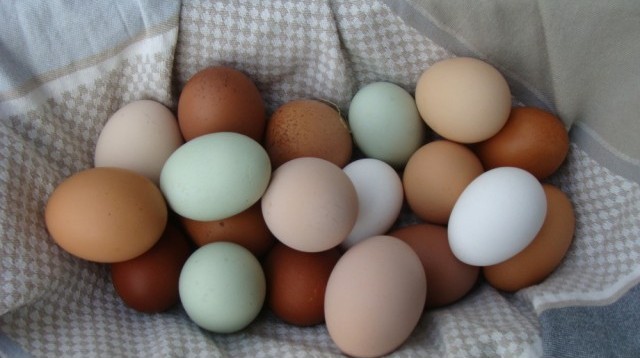 photos_produits_pour_site_2013_099-640x480