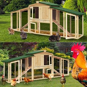 Poulailler Pro Bache Premium Avis Test 23 Poules