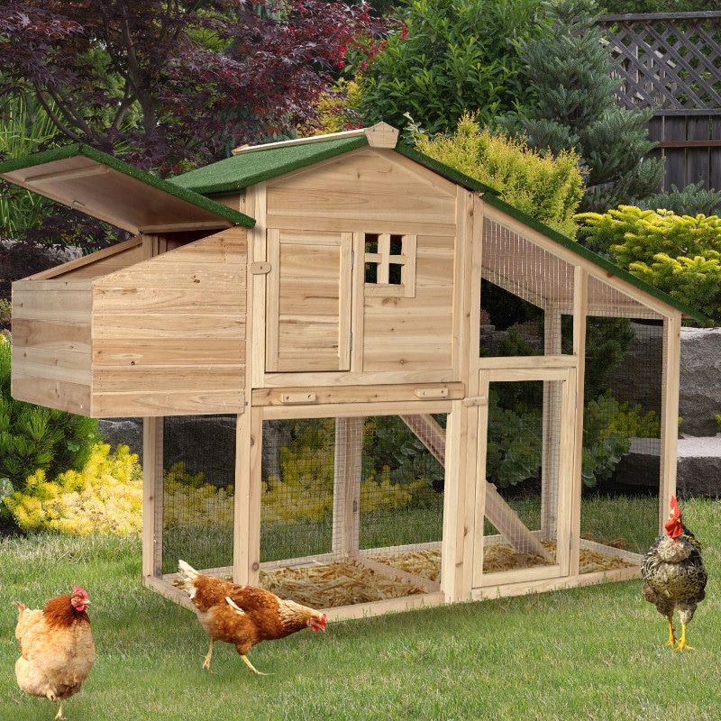 POULAILLER BOIS AVEC PONDOIR 172 X 110 X 64 CM
