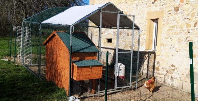 Le budget à prévoir pour l’installation d’un grillage à poule