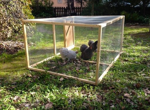 Une autre alternative au grillage à poule 